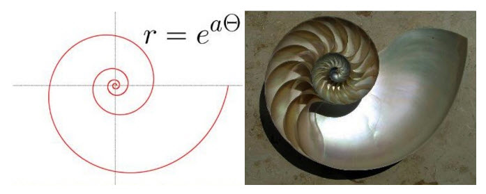 Euler's number spiral